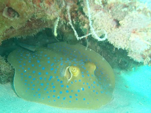 PA279658.JPG
