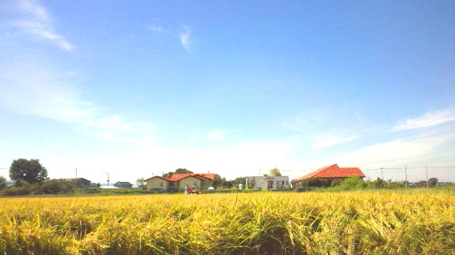 ine3