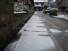 DSCN8295.jpg
