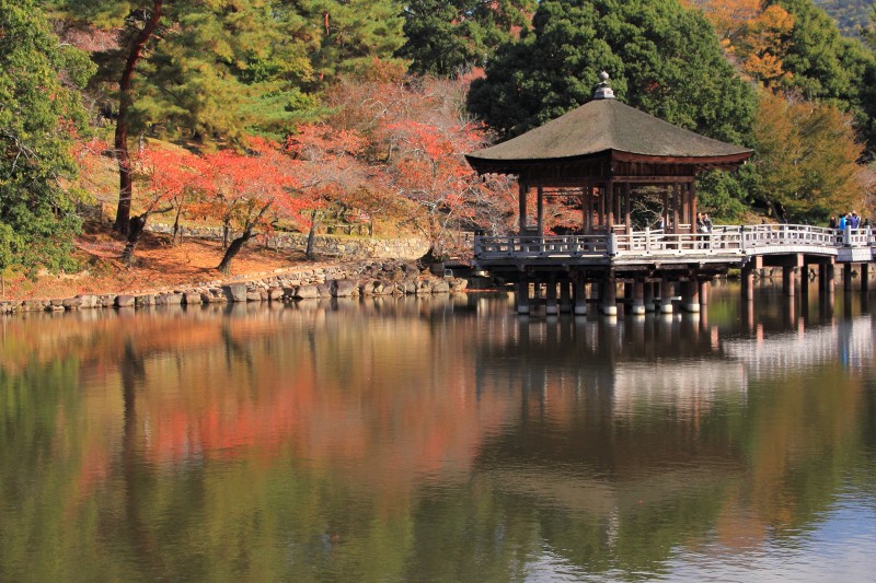 奈良公園・浮見堂_004.jpg