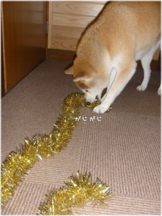 金ぴか1.jpg