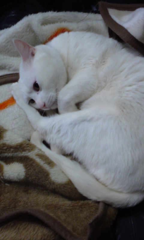 110320_1432~01.jpg