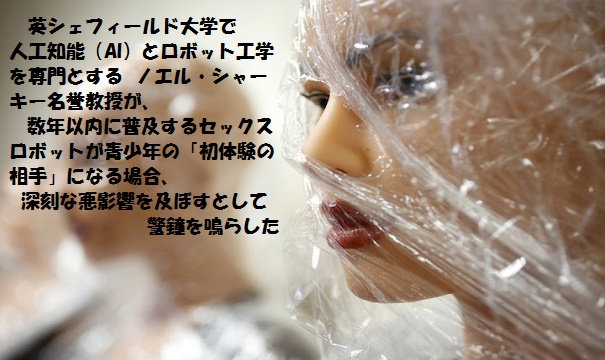 V.ﾎﾟﾙﾉｰ4