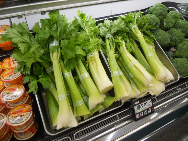 DSCN9577.JPG