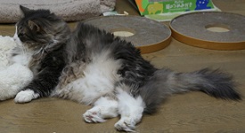 5DA_5766-20.jpg