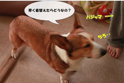 IMG011402.JPG