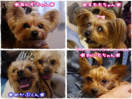 もずれん.jpg