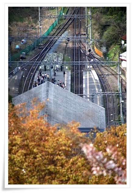 吉野山-26 近鉄吉野駅 16.4.12