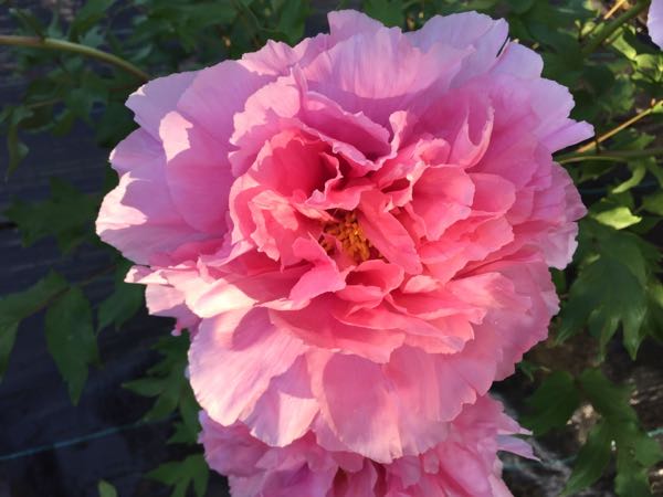 rblog-20180418194135-01.jpg