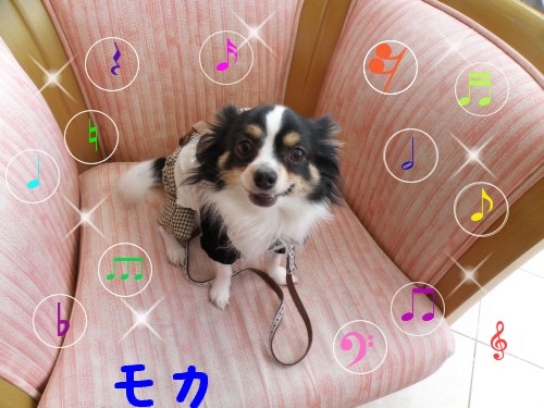ﾓｶ.JPG