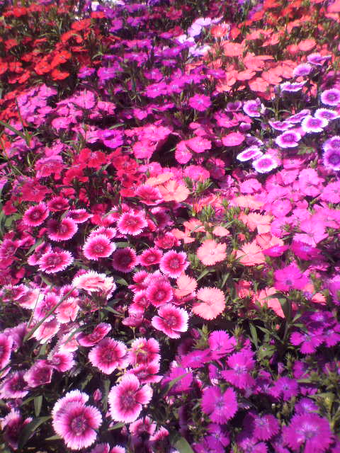 2011050811010000.jpg
