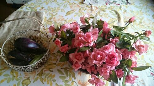 rblog-20180725180132-04.jpg
