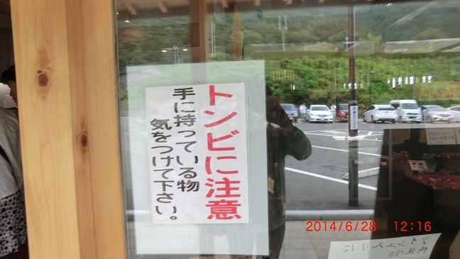 CIMG0232.JPG