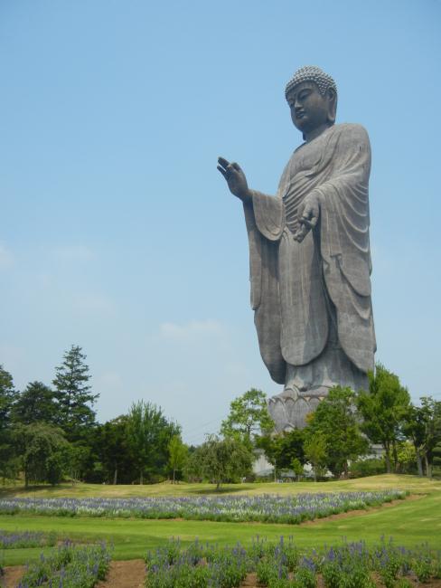 DSCN6003.JPG