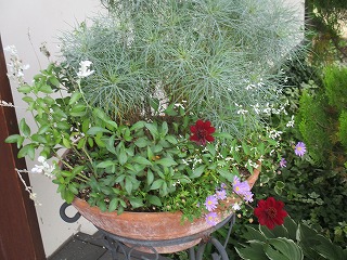 IMG_8246ss.jpg