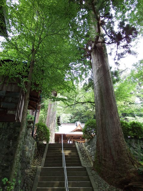 DSCF1765.JPG