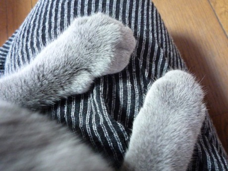 P1240590 (2) - コピー.JPG