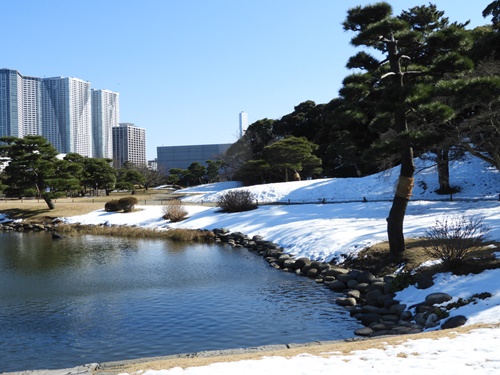 浜離宮恩賜庭園にて