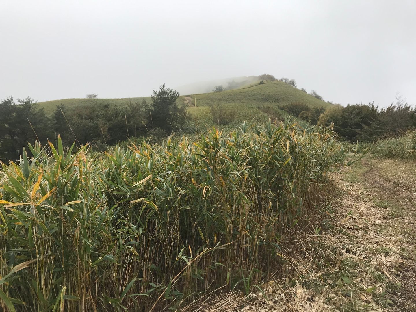 下蒜山中蒜山登山 | のん木ぶろぐ - 楽天ブログ
