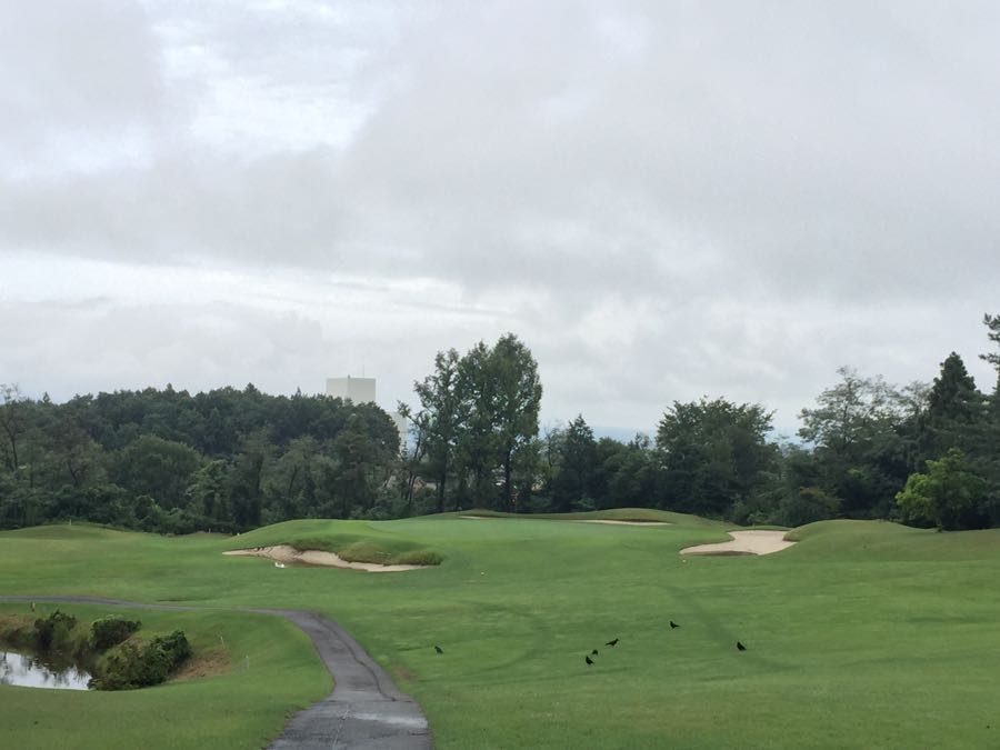 rblog-20180901164058-01.jpg