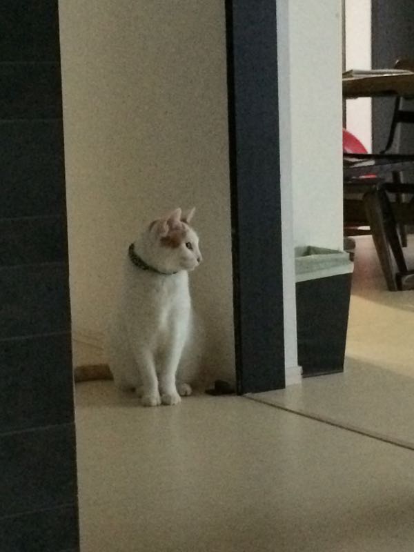 rblog-20150910062632-03.jpg