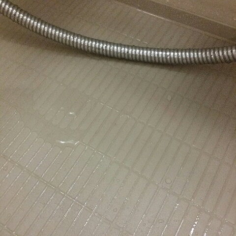 20140911_102232_resize_20140911_130959.jpg