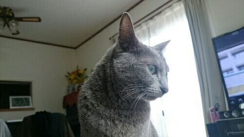 rblog-20180321102646-02.jpg