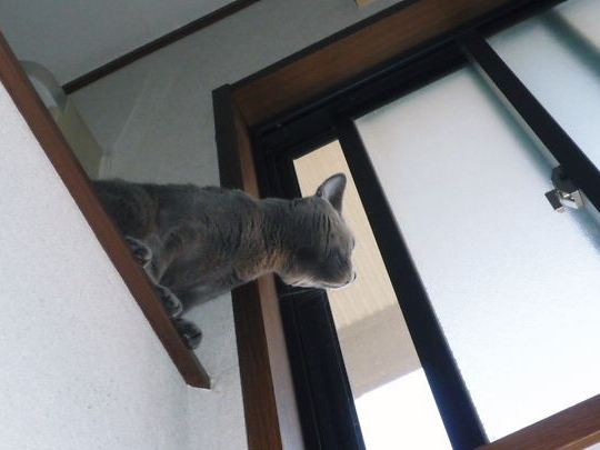 2014年11月07日_P1200931.jpg