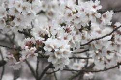 2015040403.jpg