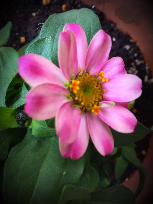 rblog-20150531144709-04.jpg