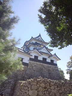 彦根城.jpg