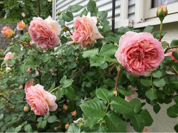 rblog-20180405182739-03.jpg