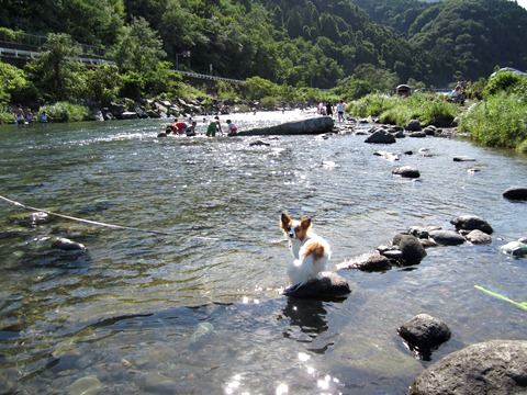 2012-0826-09.jpg