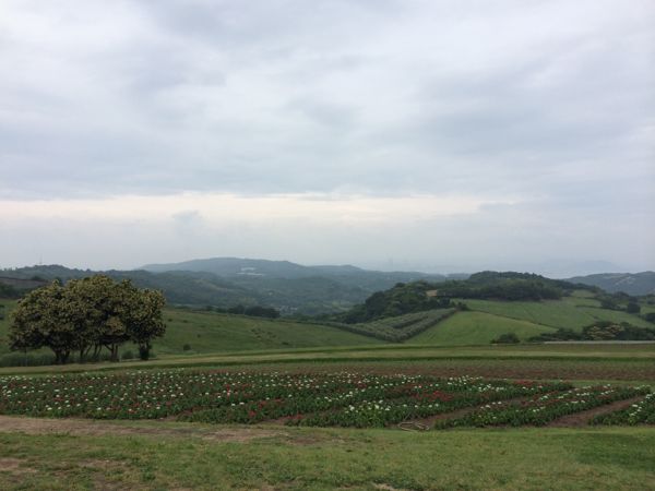 rblog-20140622205555-01.jpg