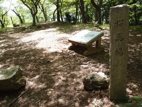 小谷城12桜馬場