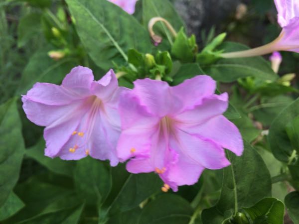 rblog-20170714233806-07.jpg