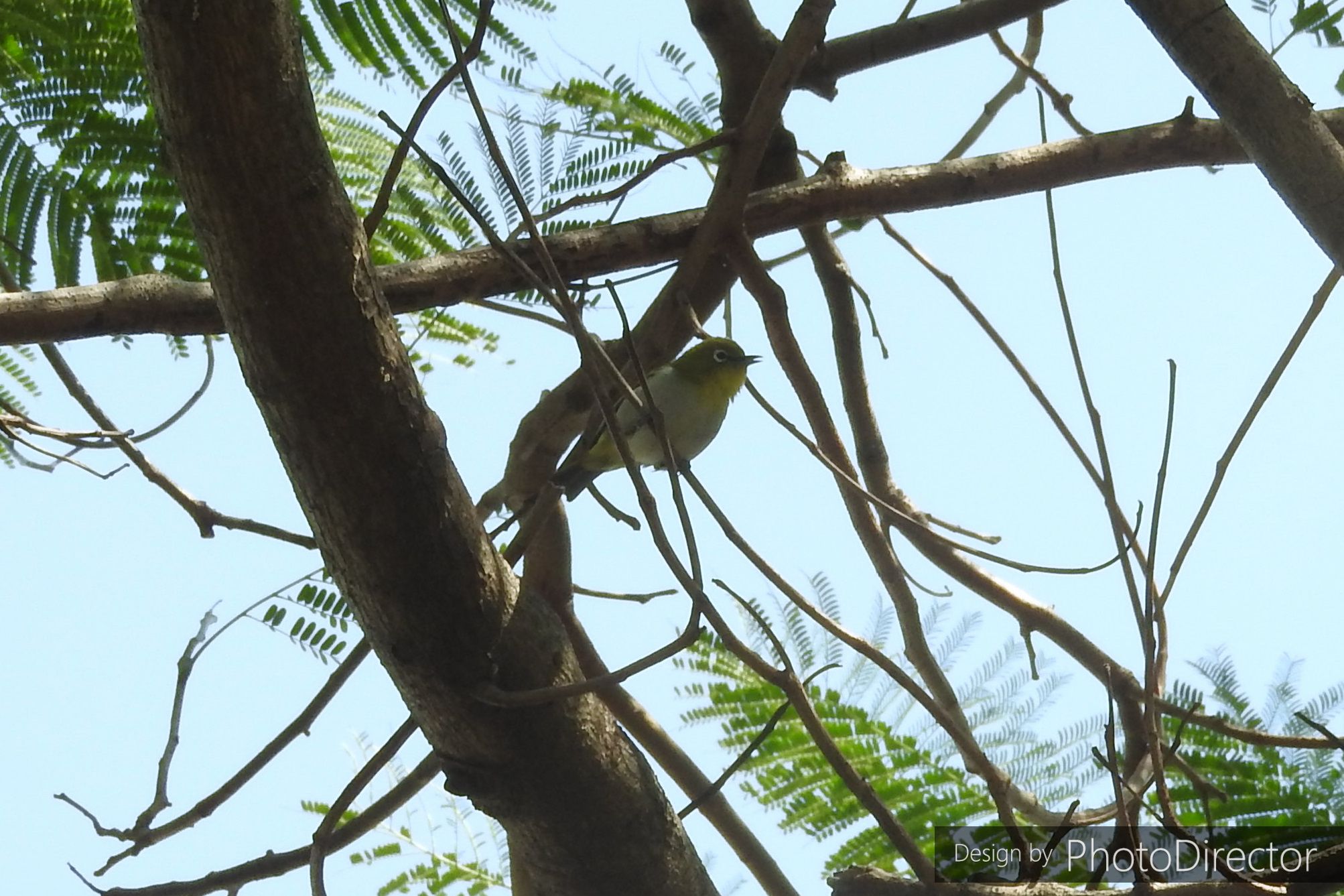 人が自分の 死 を考えるのは どうしても 自己言及パラドックス に抵触してしまうから そこで いつものように 思考停止 することになる ねこログ 楽天ブログ