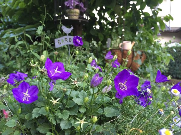 rblog-20160710211846-01.jpg