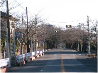 fukusima04.jpg