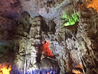 IMG_6078.jpg