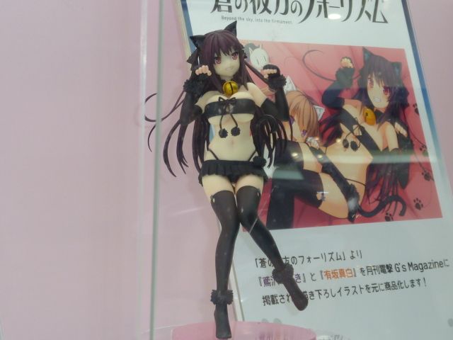 2017年冬ワンダーフェスティバル 画像 | 家一軒を解体してみたら いろいろやってみたくなる - 楽天ブログ