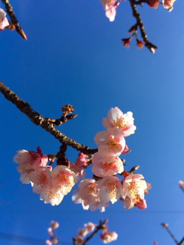 rblog-20160204162845-01.jpg