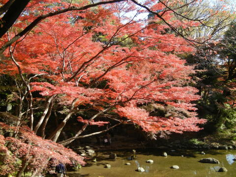 小石川後楽園