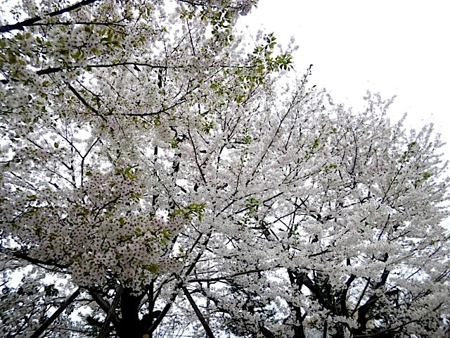 120411_094912.jpg
