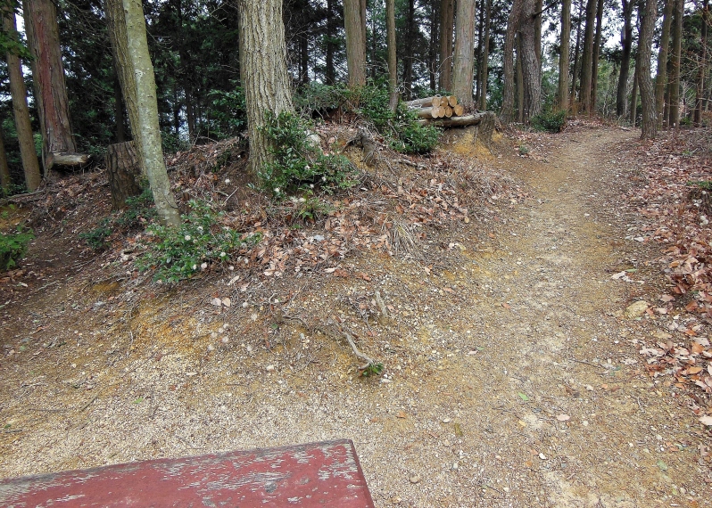 里山防災林1.JPG