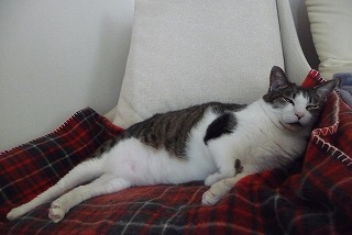 P1050057ss.jpg