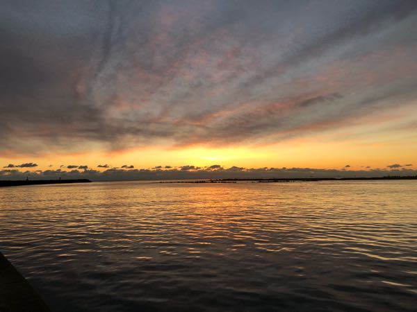 rblog-20190101002432-01.jpg