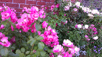 rblog-20130604212656-01.png