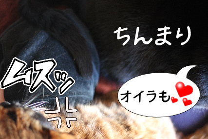 IMG_1443.png