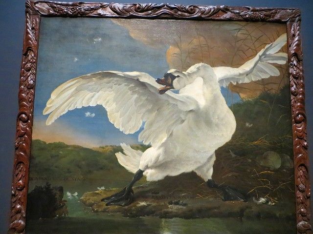 アムステルダム国立美術館 名誉の間 オランダの白鳥・・・とは？ 威嚇